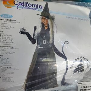 California Costumes Gothic Witch Womens Costume - Black XSMALL